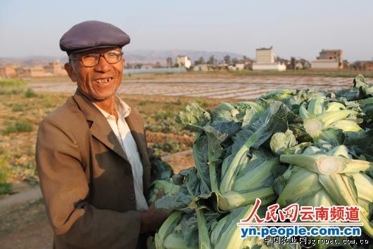 湖北黄冈：部分蔬菜价格上涨 生姜下跌