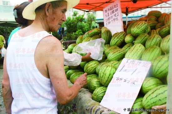 贵阳云岩区农水局增强种子市场管理 加大监察力度