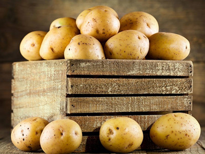 陇薯6号土豆品种有哪些