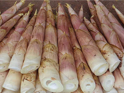 紫薯营养米加工设备