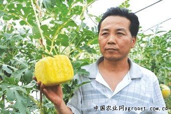 北京绿亨种子有限公司