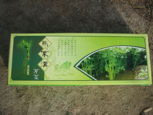 供应地方特产空心马家沟芹菜