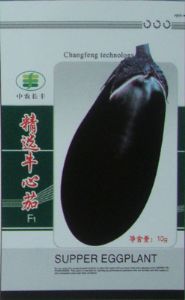 供应精选牛心茄F1—茄子种子