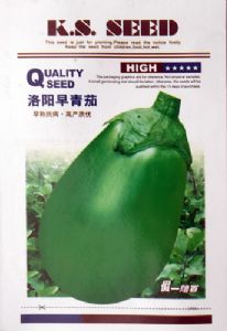 供应洛阳早青茄—茄子种子