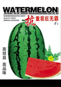 供应抗重茬巨无霸