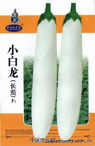 供应小白龙（长茄）—茄子种子