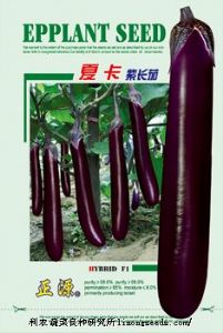 供应【正源】夏卡紫长茄F1（506）—茄子种子