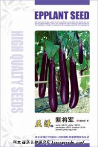 供应【正源】紫将军长茄F1（508）—茄子种子