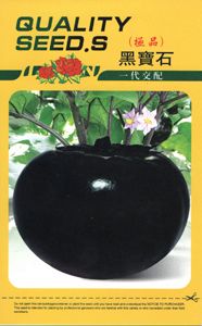 供应黑宝石—圆茄种子